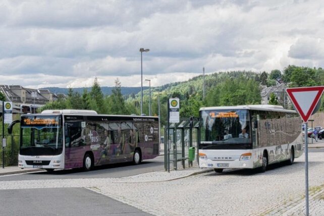 Ab Samstag rollen wieder alle Busse planmäßig. Foto: Angela Schulz / Pressebüro Reper
