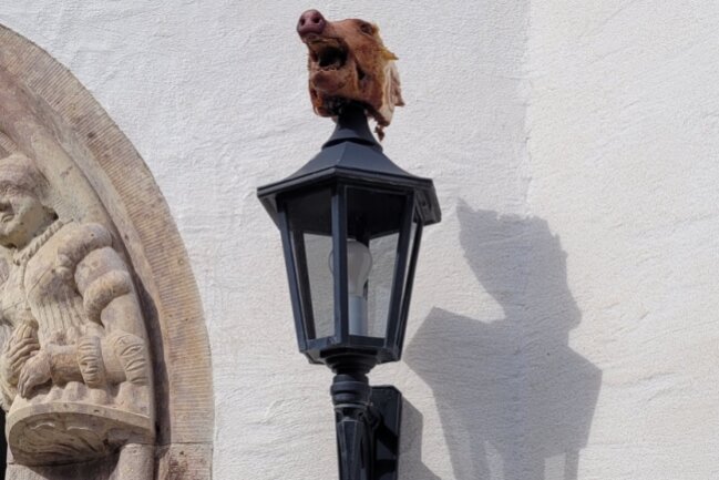 "Abartig": Schweinskopf an sächsischem Rathaus aufgespießt - Neben einem Eingang des Rathauses platzierten Unbekannte einen Schweinskopf auf einer Laterne.