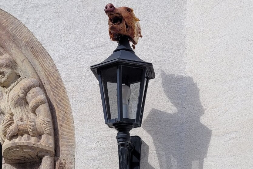 Neben einem Eingang des Rathauses platzierten Unbekannte einen Schweinskopf auf einer Laterne.