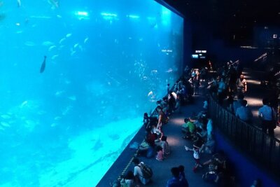 Abkühlung gefällig? Das sind die sieben größten Aquarien der Welt! - Platz 2: Der zweite Platz kommt aus Sentosa (Singapur): der "Marine Life Park". Dieser umfasst 45 Millionen Liter Wasser, was 300.000 Badewannen entspricht.
