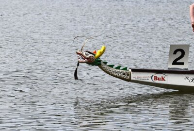Achtes Drachenbootrennen in Zwickau: Schwanenteich wird zur Paddel-Arena - Die Drachenboote sind mit filigranen Drachenköpfen und -schwänzen verziert. Foto: Mario Dudacy