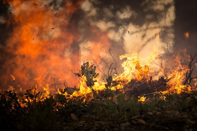 Achtung: Brandgefahr in Wäldern und Grünanlangen steigt - Aufgrund der erhöhten Waldbrandgefahr darf kein Feuer entfacht werden und auch das Rauchen im Wald ist untersagt.