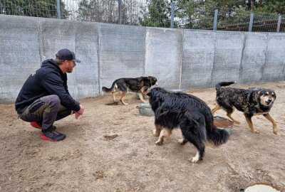 Alle überlebenden Hunde aus Tierheim in Borodyanka befreit - Helfer packen im Tierheim Borodyanka mit an. Foto: Breaking the Chains