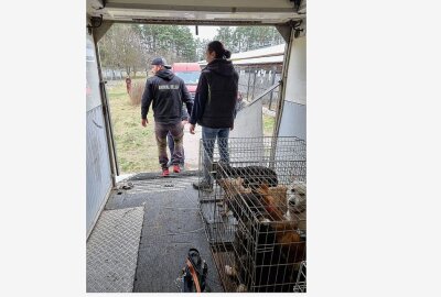 Alle überlebenden Hunde aus Tierheim in Borodyanka befreit - Helfer packen im Tierheim Borodyanka mit an. Foto: Breaking the Chains