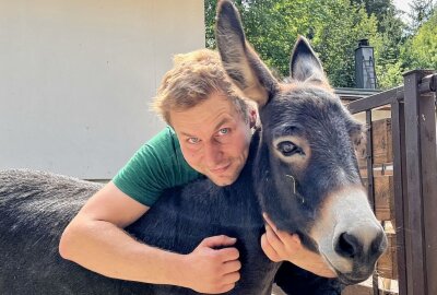 Amerikanischer Miniaturesel ist eigentlich ein Europäer - Zootierpfleger Peter Hömke mit Esel-Dame Sophie. Foto: Ralf Wendland