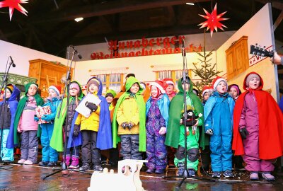 Annaberger Weihnachtsmarkt mit Wichtelstadt und Wichtelkino eröffnet - Die kleinen Wichtel erobern die Bühne und die Herzen aller Zuschauer. Foto: Ilka Ruck