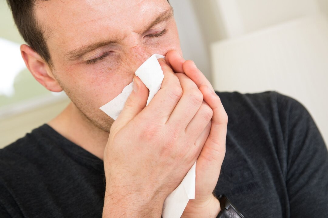 Arbeitsunfähig durch Heuschnupfen? - Start in die Pollensaison: Wenn die Krankheitssymptome einer Allergie zu stark werden, dürfen sich Arbeitnehmer krankmelden.