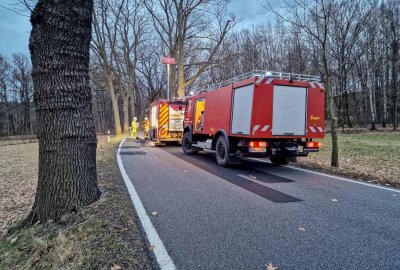Audi kracht in Kreba-Neudorf gegen mehrere Bäume: Zwei Verletzte - In Kreba-Neudorf kam es zu einem Unfall. Foto: xcitepress