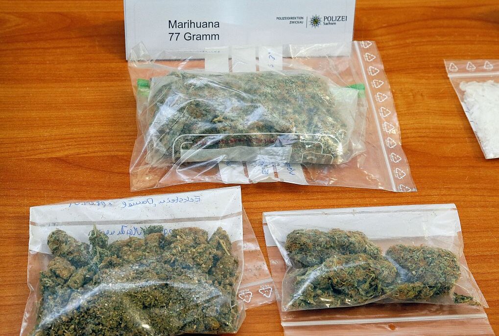Aue: 33-Jährige nach Drogenfund in Wohnung vorläufig festgenommen - Symbolbild Marihuana. Foto: Harry Härtel/ Härtelpress