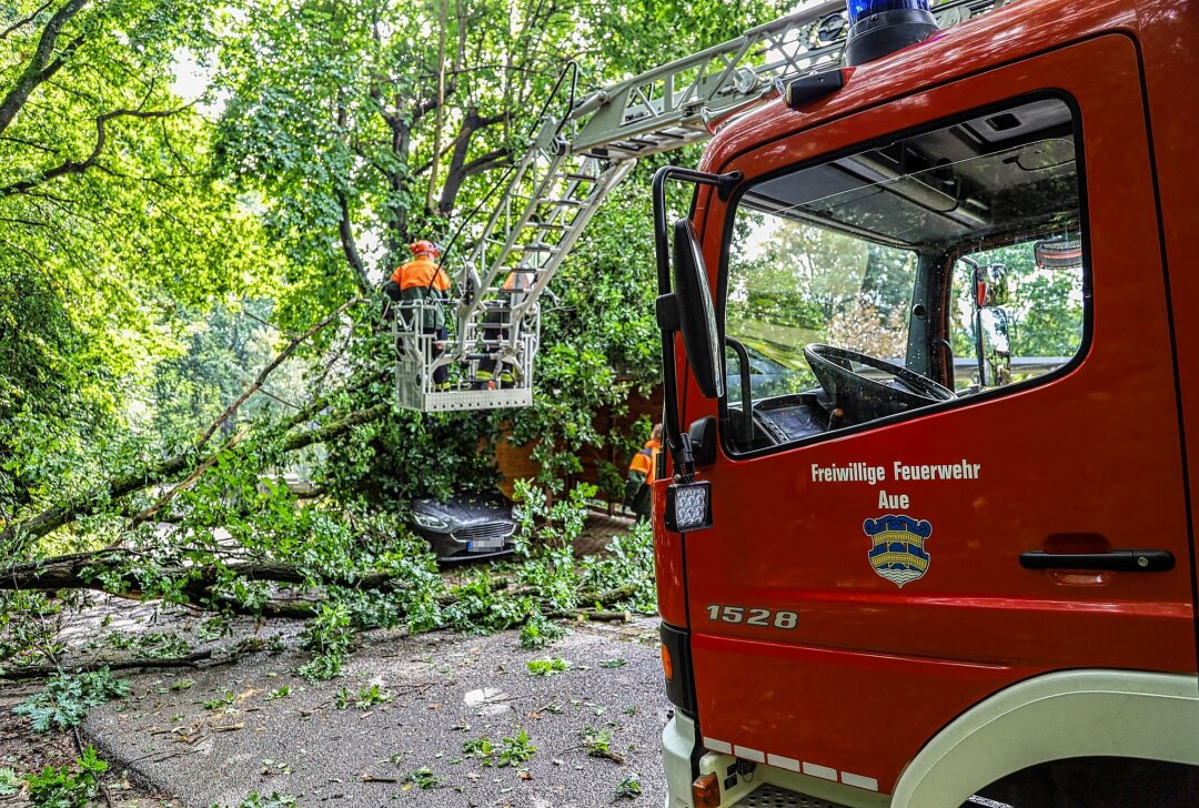 Aue: Baum stürzt um und fällt auf Auto und Carport - In Aue fiel ein Baum auf ein Auto und ein Carport. Foto: Niko Mutschmann