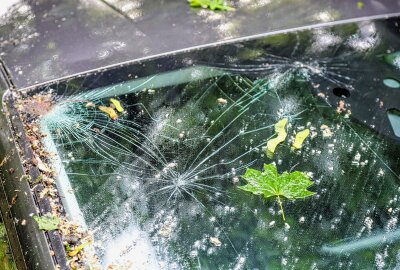 Aue: Baum stürzt um und fällt auf Auto und Carport - In Aue fiel ein Baum auf ein Auto und ein Carport. Foto: Niko Mutschmann