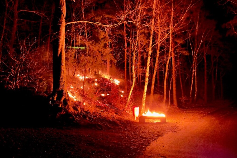 Waldbrand in Silvesternacht.