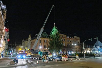Auer Altmarkt hat wieder einen Weihnachtsbaum - Die Fichte wurde gefällt und auf den Markt gebracht. Foto: Niko Mutschmann