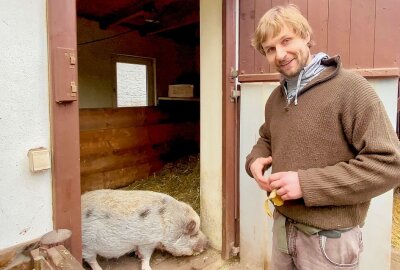 Auer Zoo der Minis hält auch Minischweine - Zootierpfleger Peter Hömke mit Minischweine-Dame Bambina. Foto: Ralf Wendland