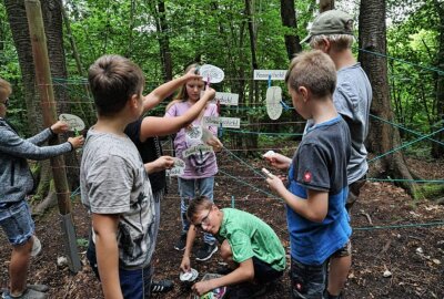 Auf Entdeckungstour zum Tag der Jungen Naturwächter - Die Kinder waren im Wald unterwegs. Foto: Andrea Funke