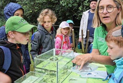 Auf Entdeckungstour zum Tag der Jungen Naturwächter - Marion Gringer bestimmt gemeinsam mit den Kindern die Lebewesen aus dem Teich. Foto: Andrea Funke