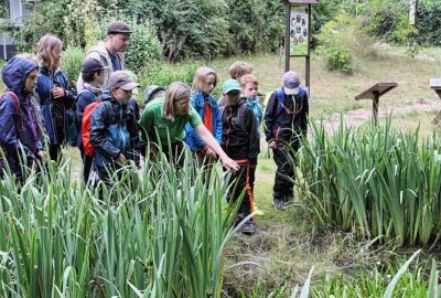 Auf Entdeckungstour zum Tag der Jungen Naturwächter - Die Kinder haben am Teich beobachtet und analysiert. Foto: Andrea Funke