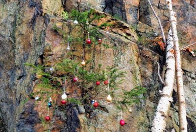 Augustusburger "Christbaumpfad" lädt zum Wandern und Staunen ein - Die Initiatoren haben Bäume in der Natur geschmückt und mit hunderten Kugeln sowie Sternen versehen.  Foto: Maik Bohn/pixelmobil