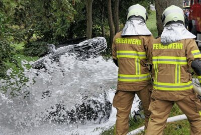 B107: PKW prallt gegen Baum und gerät in Brand - Die Feuerwehr übernahm die Restablöschung. Foto: Sören Müller