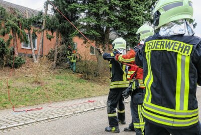 Bad Schlema: Drei Bäume fallen auf Dach der Marktpassage - Personal evakuiert - Noch ein Ruck ... Foto: Niko Mutschmann