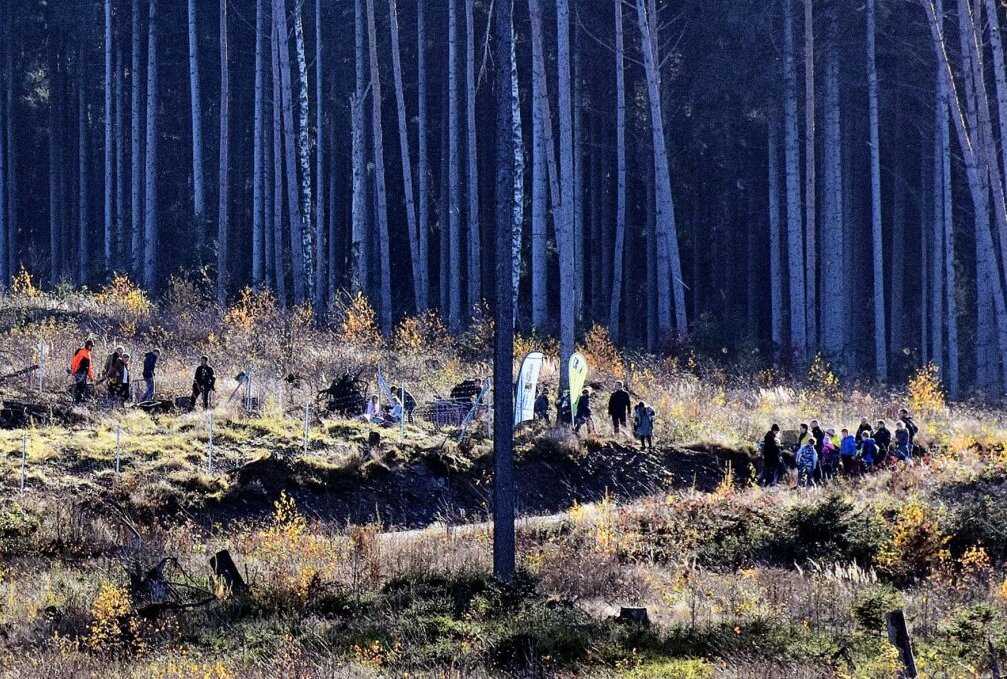 Bäume für Thalheims Zukunft: Ein Anfang ist gemacht - Thalheimer stecken Setzlinge für einen schönen Mischwald. Foto: Maik Bohn