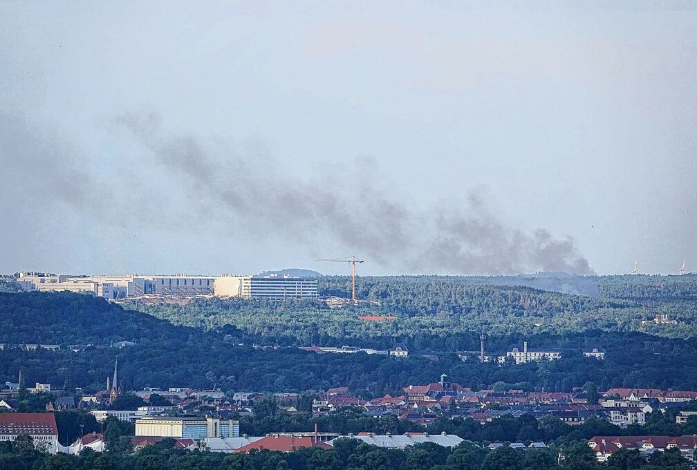 Bahndammbrand sorgt für Rauchsäule über Dresden - Die Rauchsäule des Brandes war weit über die Stadt sichtbar. Foto: Roland Halkasch