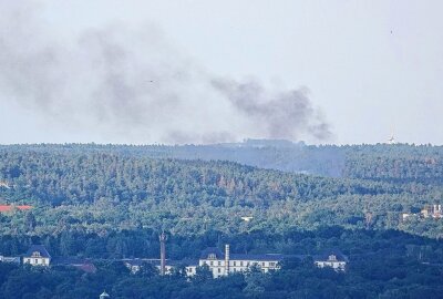 Bahndammbrand sorgt für Rauchsäule über Dresden - Die Rauchsäule des Brandes war weit über die Stadt sichtbar. Foto: Roland Halkasch
