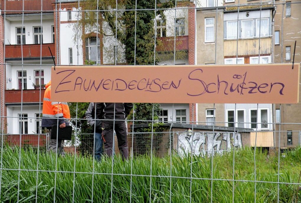 Baubetrieb für Leipziger "Hildebrands Eck" läuft - Baumfällnachweis fehlt! - Foto: Anke Brod