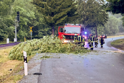 Baum fällt auf Straße: PKW überschlägt sich.