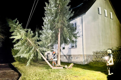 Baum fällt in Stromleitung und kappt Stromversorgung für mehrere Haushalte - Das Sturmtief "Zeynep" sorgt auch nach Mitternacht weiterhin für Probleme in der Region. 