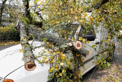 Baum kracht auf dem Sonnenberg auf parkende PKW - Auf der Rathenaustraße auf dem Sonnenberg erfasste ein umfallender Baum einen parkenden PKW. Foto: Harry Haertel
