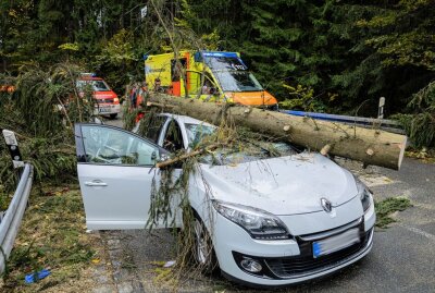 Baum kracht in Schnarrtanne auf Auto: Fahrer muss befreit werden - Die Straße war für mehrere Stunden gesperrt werden. Foto blst/David Rötzschke