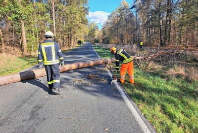 Baum umgestürzt: Stromausfall in Ammelshain - In Ammelshain kam es zu einem Stromausfall. Foto: Sören Müller