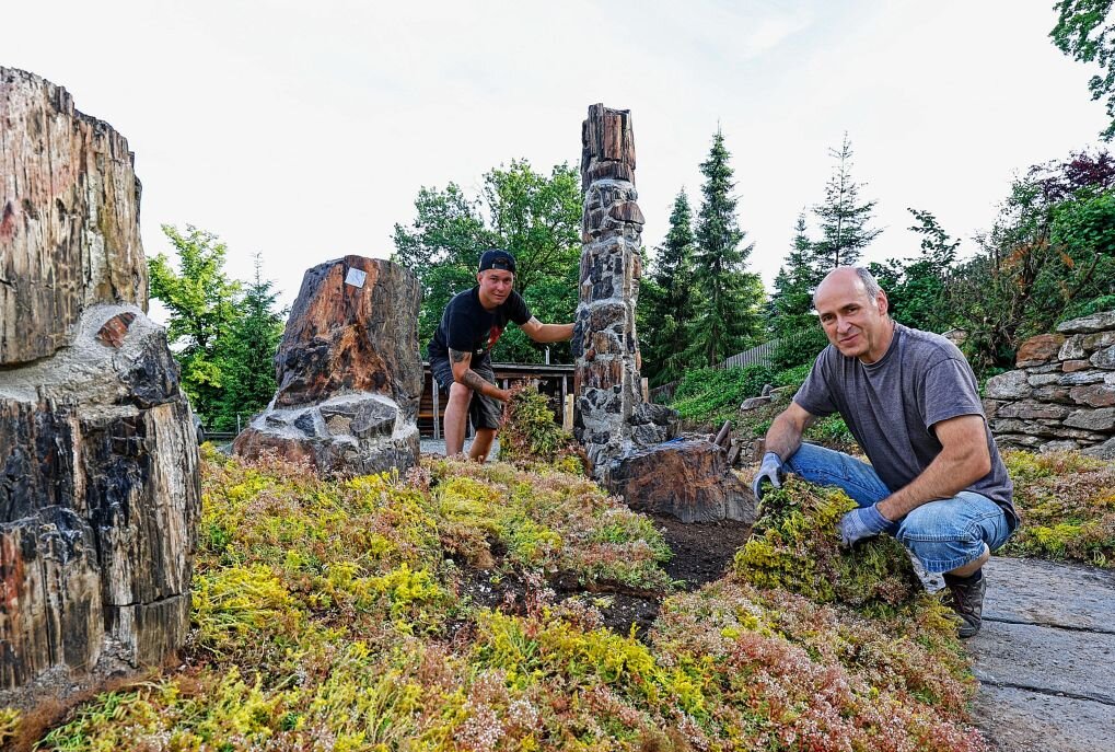 Bergbaufans kümmern sich um "Versteinerten Wald am Lampertusschacht" - André Schraps (re.) und Maximilian Koppisch mit dem "Versteinerten Wald". Foto: Markus Pfeifer