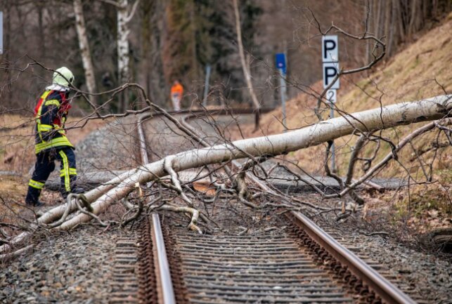 Bilanz zum Orkantief Zeynep: Diese Schäden gab es in der Region - HIer lag ein Baum über den Gleisen. Foto: B&S/Bernd März