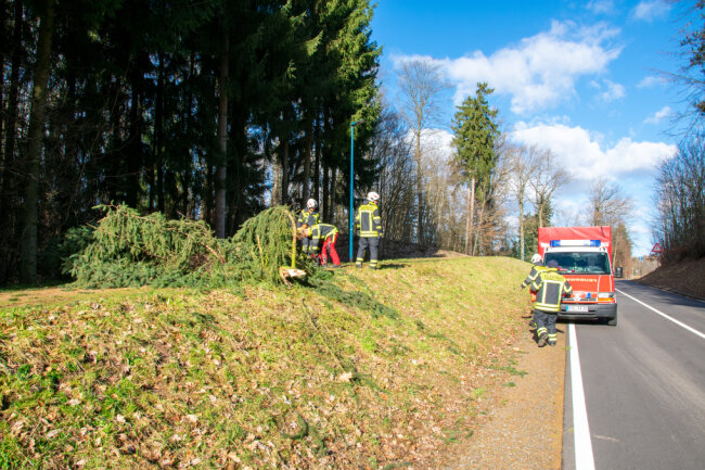 Bilanz zum Orkantief Zeynep: Diese Schäden gab es in der Region - Am Neuwürschnitzer Waldbad versperrte ein Baum den Rad- und Gehweg.
