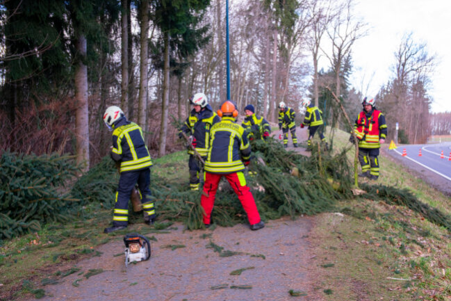 Bilanz zum Orkantief Zeynep: Diese Schäden gab es in der Region - Am Neuwürschnitzer Waldbad versperrte ein Baum den Rad- und Gehweg.