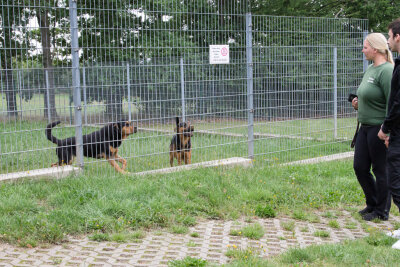 BLICK hinter die Kulissen: Zu Gast im Tierheim am Pfarrhübel - Eva zeigt Anika und ihrer Begleitung die Ausläufe der Hunde.