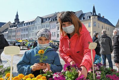Blumen- und Pflanzenmarkt in der Schneeberger Innenstadt - Chantal Seifert und ihr Neffe Luca-James Seifert bei der Pflanzenauswahl. Foto: Ralf Wendland