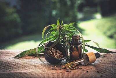 Böller verraten Innenraumplantage mit Cannabispflanzen - Symbolbild. Foto: Pixabay