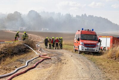 Bösenbrunn: 15 Minuten Feldbrand vernichten komplette Ernte - Bei Bösenbrunn kam es zu einem Feldbrand. Foto: B&S