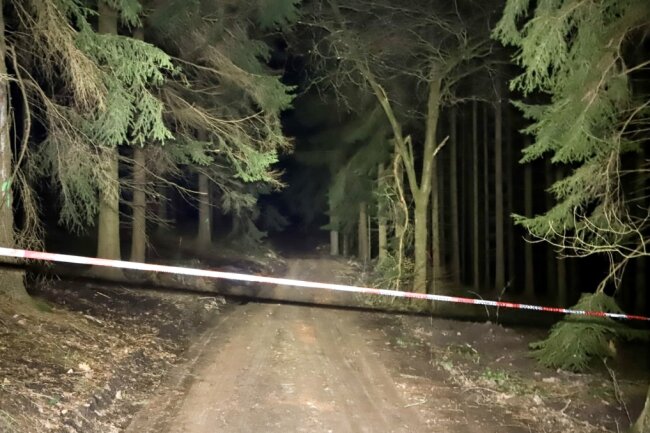 Bei Waldarbeiten ist zwischen Einsiedel und Dittersdorf eine britische Fliegerbombe gefunden worden, die Donnerstag gegen Mittag entschärft werden muss.