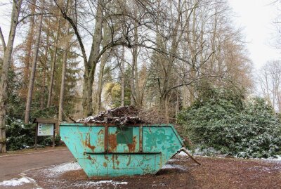 Borkenkäfer und Trockenheit machen auch Stadtpark-Bäumen zu schaffen - Bei den aktuell laufenden Maßnahmen wurde auch viel verfilztes Brombeergestrüpp entfernt. Foto: A.Büchner