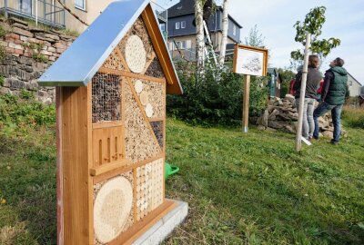Borstendorf belebt alte Schule mit Ideen aus der Bevölkerung - Auch ein Insektenhotel steht auf dem Gelände. Foto: Andreas Bauer