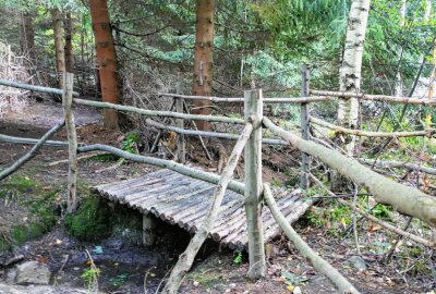Borstendorfer Waldlabyrinth weckt riesiges Interesse - Auch eine Brücke haben die Helfer des Heimatvereins mitten im Wald gebaut. Foto: Andreas Bauer