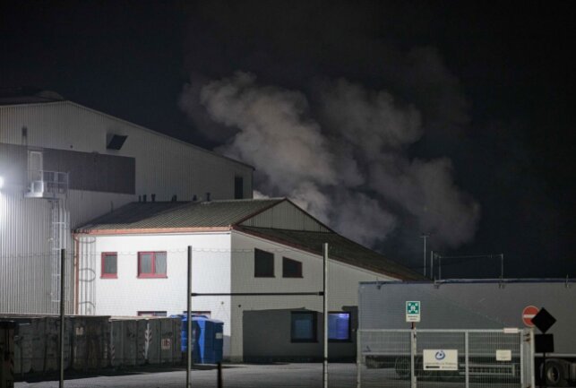 Brand auf Recyclinghof in Langenau - Über dem Gelände des Receyclinghofes hingen dichte Rauchschwaten. Foto: Marcel Schlenkirch.