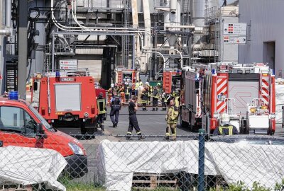 Brand bei Spanplattenhersteller in Lampertswalde - Bei einem Spanplattenhersteller ist ein Brand ausgebrochen. Foto: Roland Halkasch