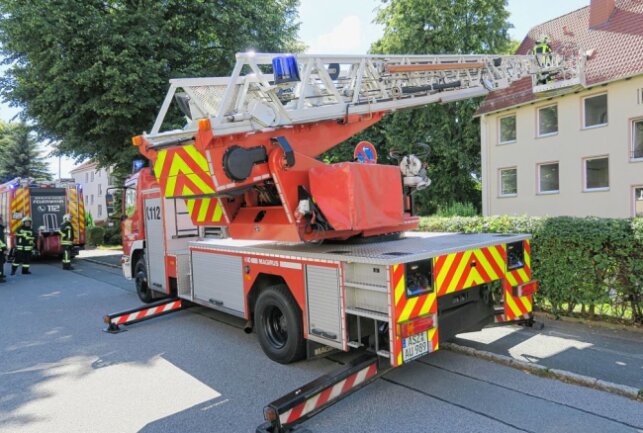 Wiener brannten und lösten einen Feuerwehreinsatz aus. Foto: Niko Mutschmann