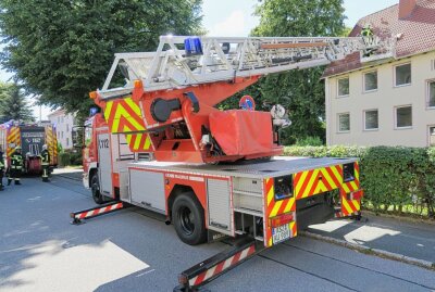 Brennende Wiener lösten Feuerwehreinsatz aus - Wiener brannten und lösten einen Feuerwehreinsatz aus. Foto: Niko Mutschmann