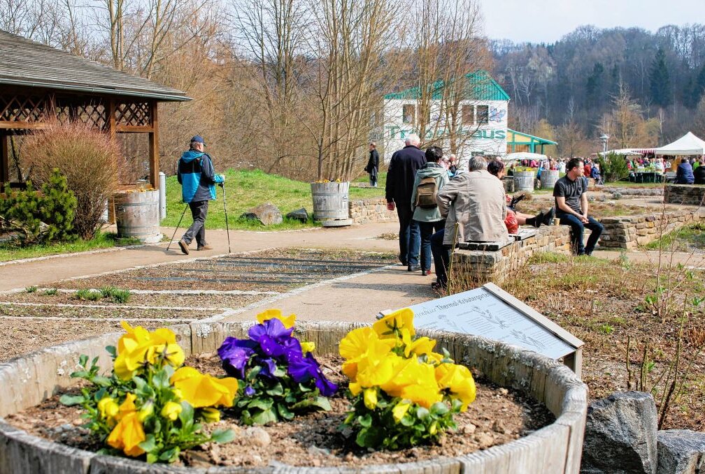 Bunter Frühlingsmarkt lädt ein - Im Kurpark von Thermalbad Wiesenbad ist Frühlingserwachen angesagt. Foto: Ilka Ruck (Archiv)
